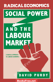 Social Power and the Labour Market by David Purdy